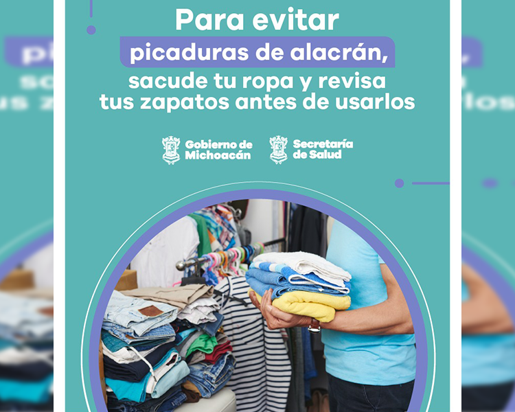 Emite Ssm Recomendaciones Para Prevenir Picadura De Alacrán Americano Victor 7411