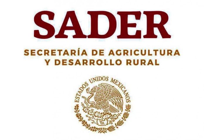 sader-990x682