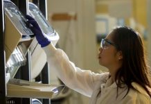 Día Internacional de Investigación contra el Cáncer