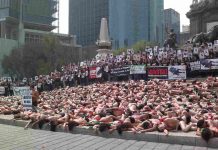 Repudio total a la corrida de toros: activistas exigen aplicar la ley