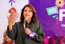 “En Michoacán, el derecho decidir sobre nuestro cuerpo ya es ley”: Fabiola Alanís