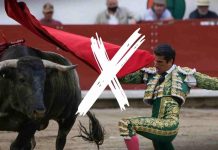 Juez federal niega amparo para corrida de toros