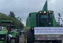 #Videos | Gobierno de México llega a acuerdo con productores de maíz; se levantan los bloqueos en Jalisco, Michoacán y Guanajuato