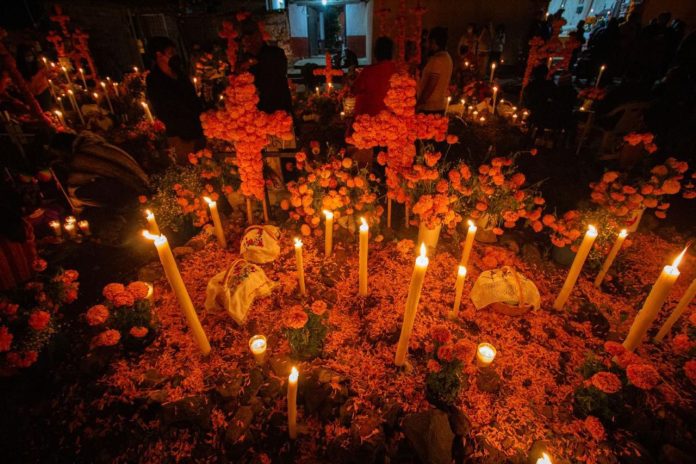 WhatsApp Image 2025-10-30 at 16.12.11_c46ceb56