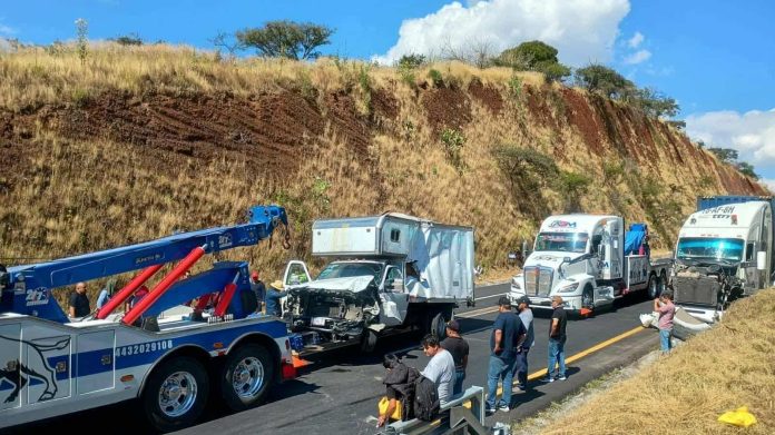 WhatsApp Image 2025-10-31 at 19.09.21_a4c18e72