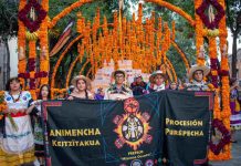 Desfile de Catrinas y Catrines, una iniciativa de la PREFECO que ha proyectado a Morelia a nivel internacional