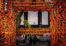 Morelia, la ciudad más ‘instagrameable’ para disfrutar el Día de Muertos