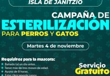 SSM llevará jornada gratuita de esterilización animal a la isla de Janitzio