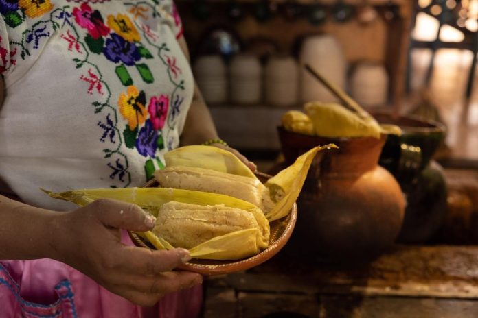 gastronomia3-compressed