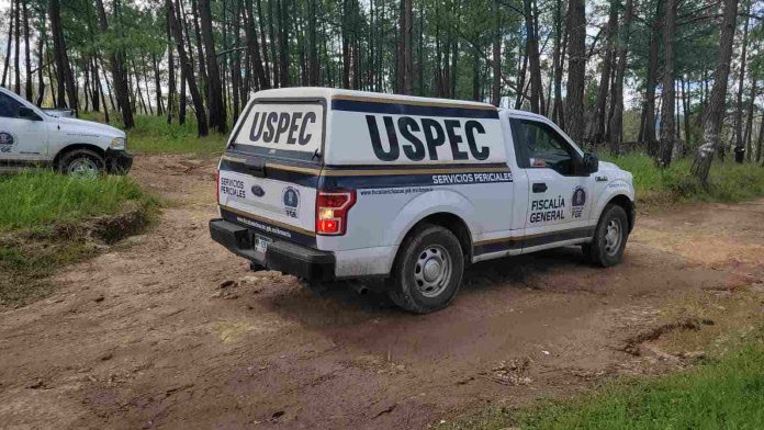 uspec-compressed