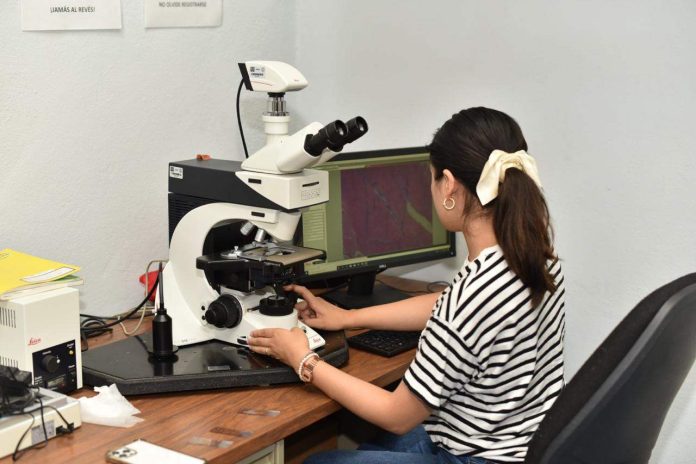 IMG-20251119-WA0063-compressed