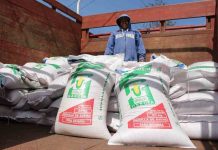 Saderm apoya a productores agrícolas con entrega de semillas