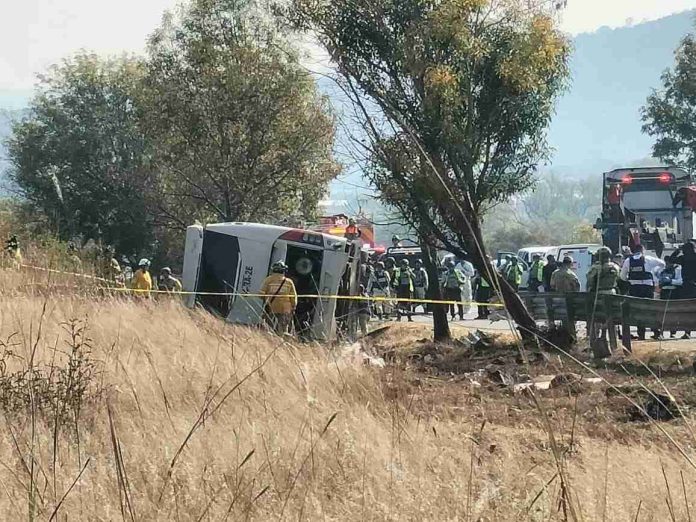 IMG-20251123-WA0074-compressed