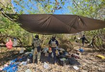 #Galería | Desmantelados 4 campamentos clandestinos en Buenavista: SSP