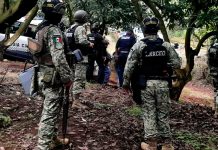 Militares desmantelan narcocampamento y tras enfrentamiento abaten a 2 presuntos criminales en la región de Zinapécuaro
