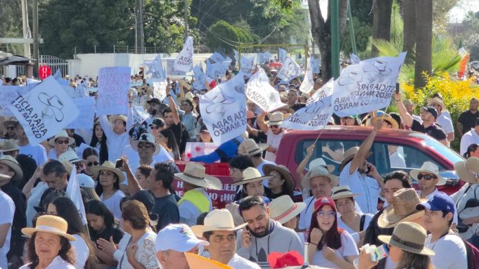 WhatsApp Image 2025-11-07 at 09.53.48_3e7f89f9