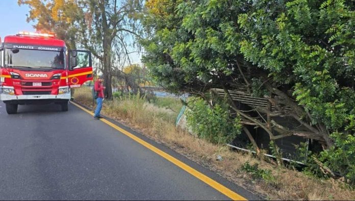 WhatsApp Image 2025-11-07 at 09.53.56_c4dc86b3