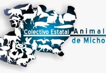 Colectivos animalistas aplauden endurecimiento de sanciones penales contra la crueldad animal