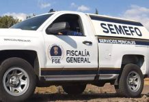 Hombre muere atropellado en Cuitzeo