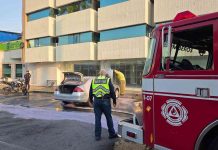 Auto estacionado se incendia en la colonia Jardinadas