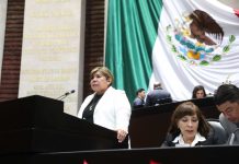 Proponen reformas para que se instalen sistemas de videovigilancia en escuelas