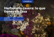 Secum invita a charla sobre herbolaria casera en Pátzcuaro
