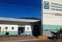 Muere aguacatero en hospital, tras estallarle explosivo improvisado terrestre en huerta de Cotija