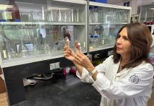 La investigadora nicolaita, Lourdes Macías, considerada como una de las mejores a nivel mundial