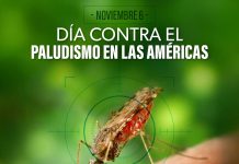 Michoacán cumple 21 años libre de paludismo: SSM