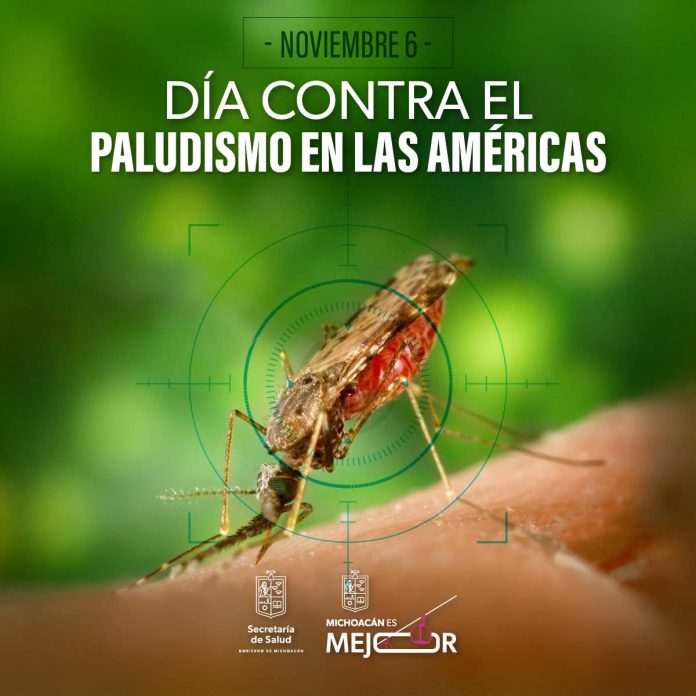 paludismo mosquito