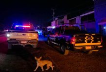 Identifican a los 2 hombres baleados a la orilla de la Morelia-Pátzcuaro