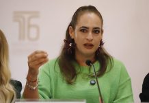 La protección de quienes defienden la tierra debe ser prioridad nacional: Sandra Arreola