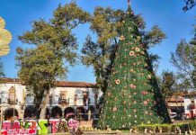 ¡Pátzcuaro se ilumina hoy con su nacimiento monumental y árbol navideño!: Sectur
