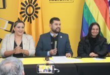 Michoacán, cuna del cardenismo y alma del PRD. 2025 fue un año de consolidación perredista