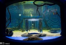 ¡Vive unas vacaciones inolvidables en el Zoológico de Morelia!