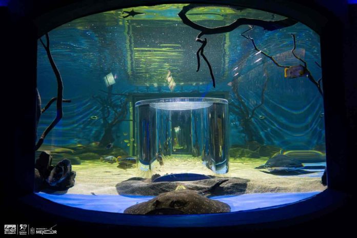 WhatsApp Image 2025-12-18 at 1-compressed (2)