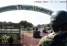 Detienen a cinco personas y aseguran cerca de un centenar de cartuchos en Michoacán