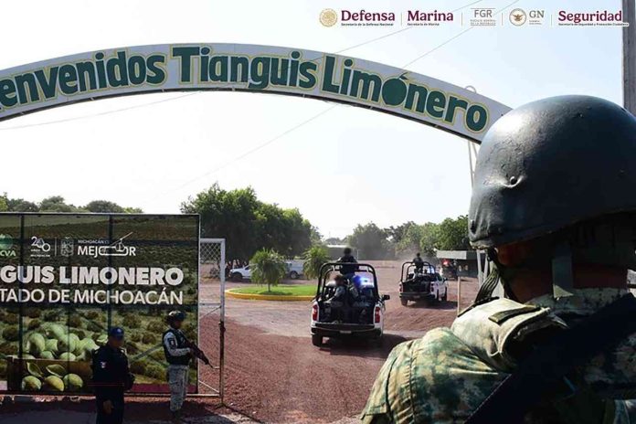 WhatsApp Image 2025-12-18 at 1-compressed