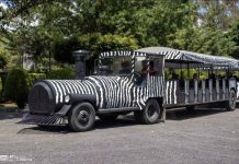 Choque entre camioneta y moto deja 2 lesionadas en la Tiquicheo-Tuzantla