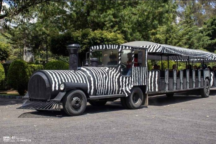 WhatsApp Image 2025-12-18 at 2-compressed