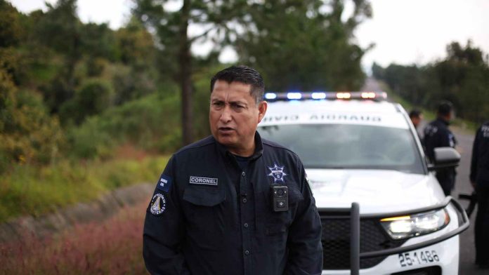 WhatsApp Image 2025-12-18 at 8-compressed