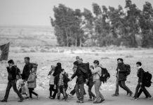 Cruzar fronteras en busca de dignidad: Día Internacional del Migrante