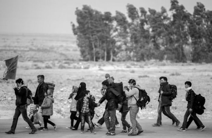 WhatsApp Image 2025-12-18 at 9-compressed (1)