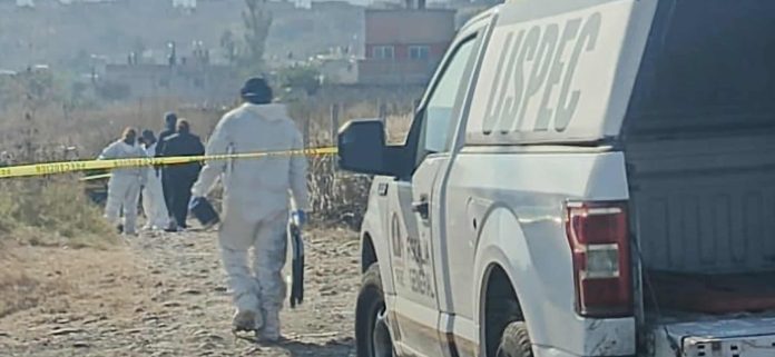 WhatsApp Image 2025-12-22 at 11.07.24 AM 2