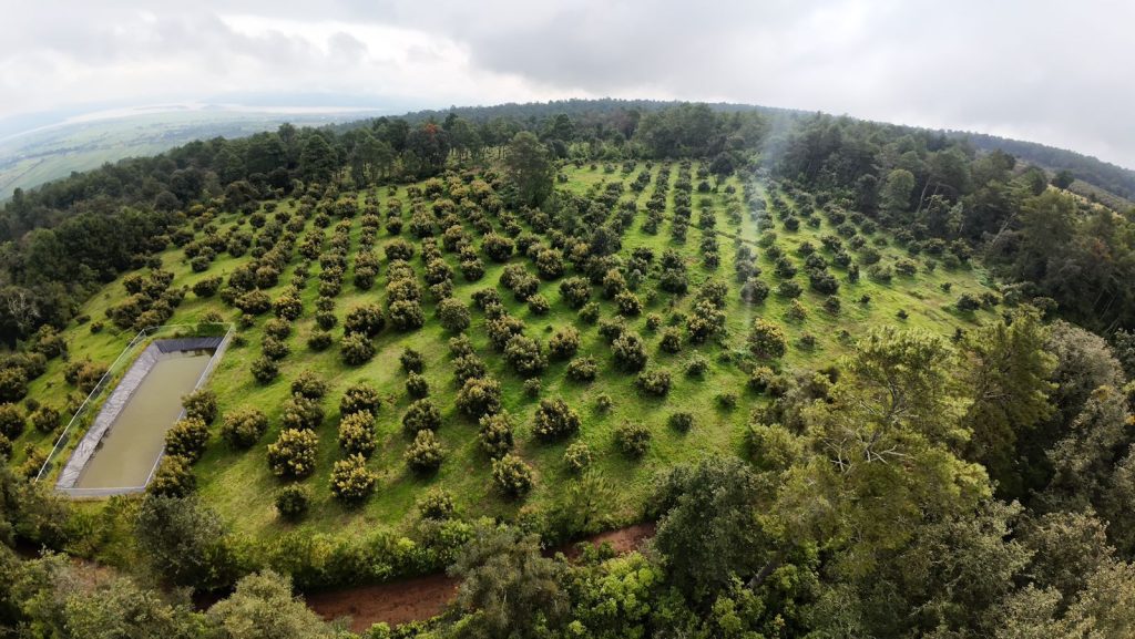 La imagen actual no tiene texto alternativo. El nombre del archivo es: WhatsApp-Image-2025-12-22-at-17.13.03.jpeg