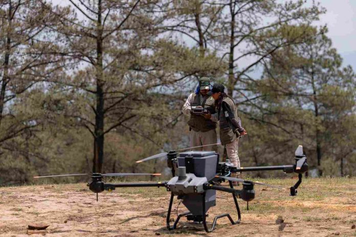 WhatsApp Image 2025-12-28 at 10-compressed (3)