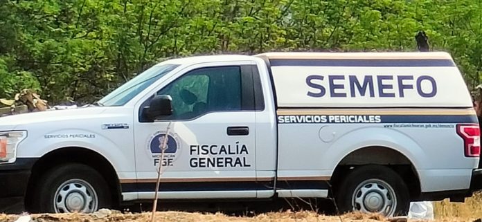 WhatsApp Image 2025-12-28 at 17.49.49