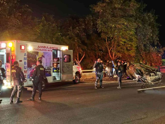 WhatsApp Image 2025-12-30 at 8-compressed (1)