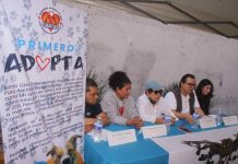 Encienden esperanza: GHAPAD convoca apoyo para alimentar 2 mil 500 peludos en esta Navidad y Año Nuevo