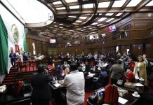 Congreso del Estado define por mandato constitucional el acceso a un medio ambiente sano y el bienestar animal